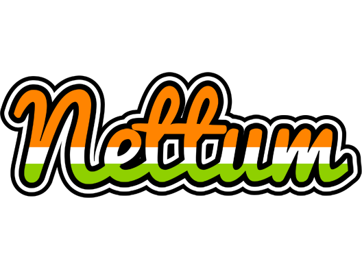 Nettum mumbai logo