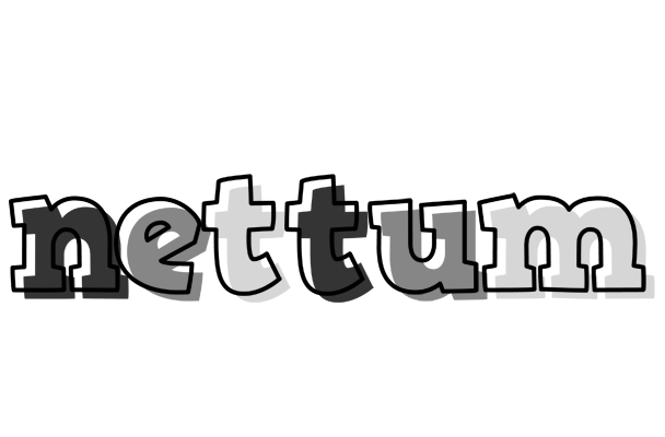 Nettum night logo