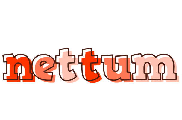 Nettum paint logo