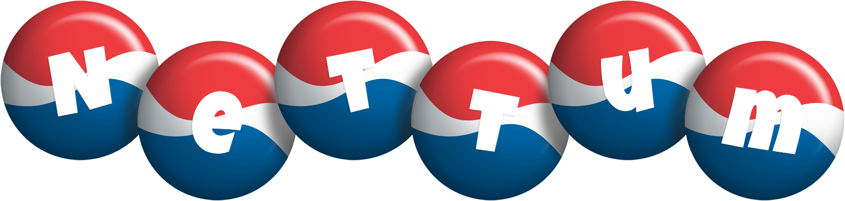 Nettum paris logo