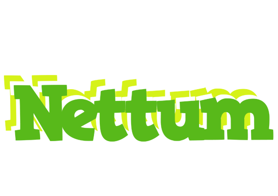 Nettum picnic logo