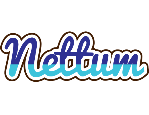 Nettum raining logo