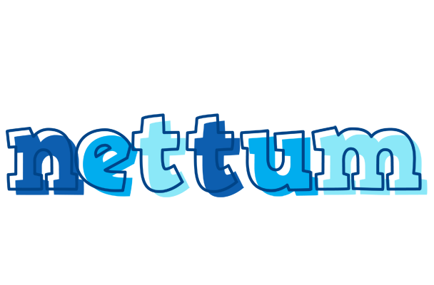 Nettum sailor logo