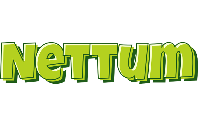 Nettum summer logo