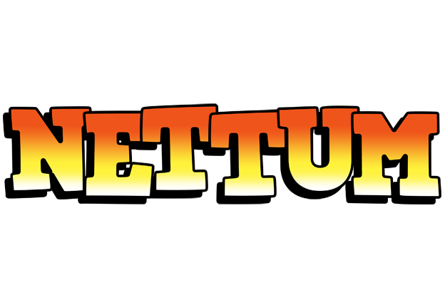 Nettum sunset logo