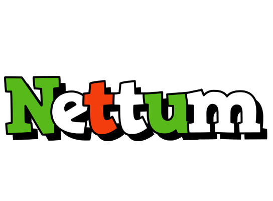Nettum venezia logo