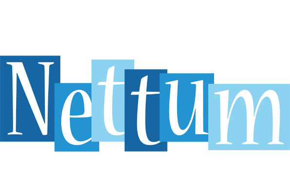 Nettum winter logo