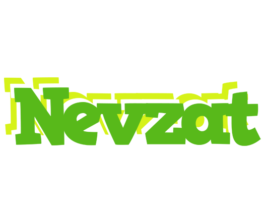 Nevzat picnic logo