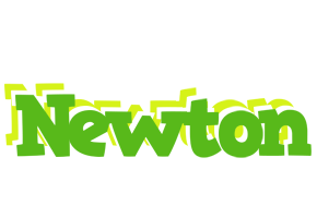 Newton picnic logo