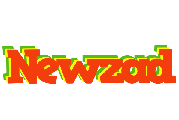 Newzad bbq logo