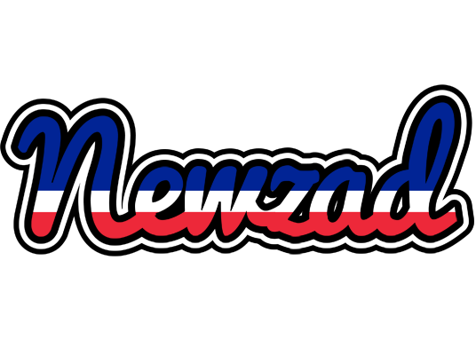 Newzad france logo