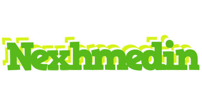 Nexhmedin picnic logo