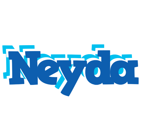 Neyda business logo