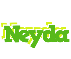 Neyda picnic logo