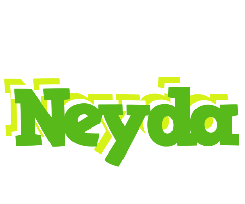 Neyda picnic logo