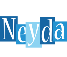 Neyda winter logo
