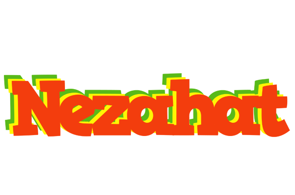 Nezahat bbq logo