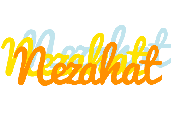 Nezahat energy logo