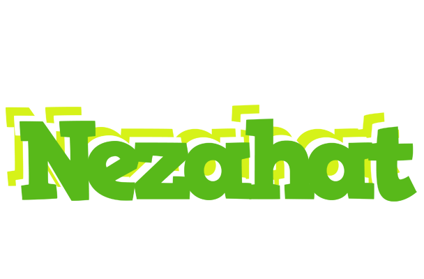 Nezahat picnic logo