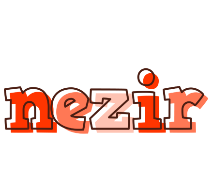 Nezir paint logo