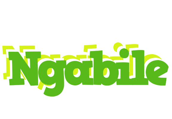 Ngabile picnic logo