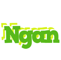 Ngan picnic logo