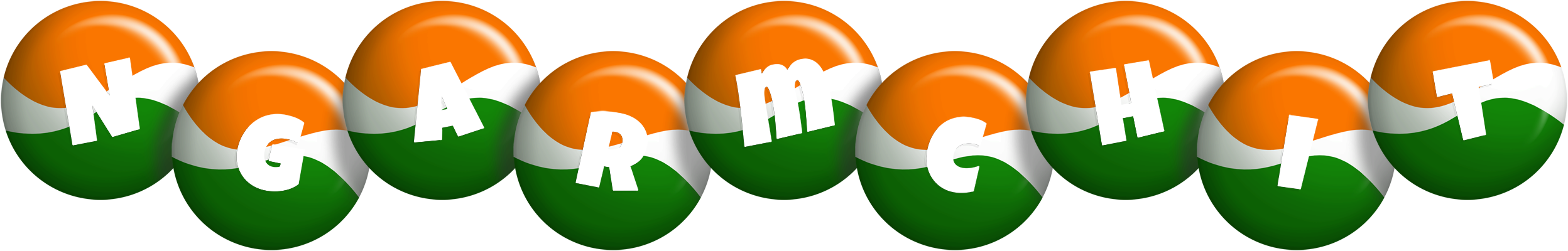 Ngarmchit india logo