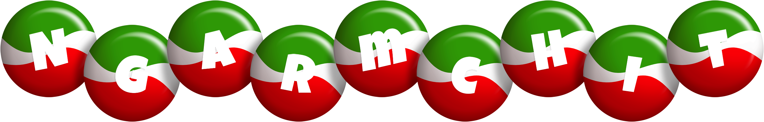 Ngarmchit italy logo