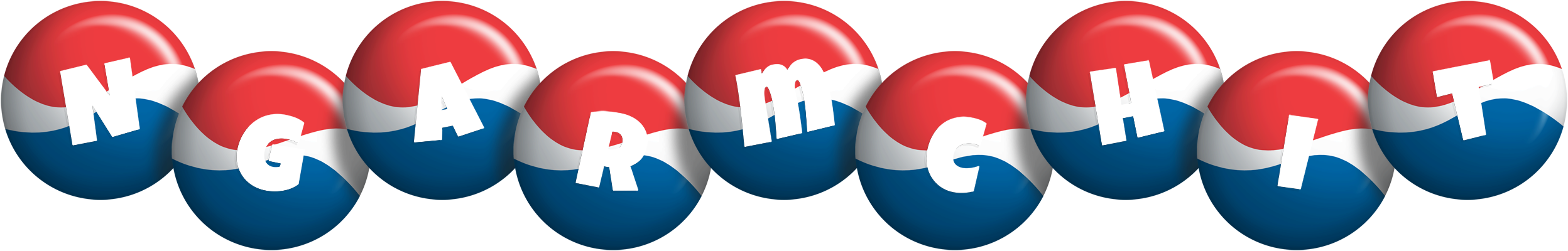 Ngarmchit paris logo
