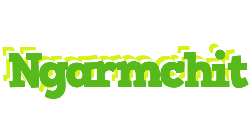 Ngarmchit picnic logo