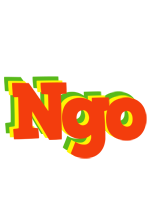 Ngo bbq logo