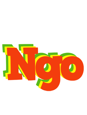 Ngo bbq logo