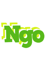 Ngo picnic logo