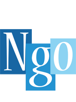 Ngo winter logo