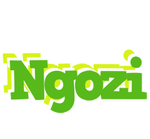 Ngozi picnic logo