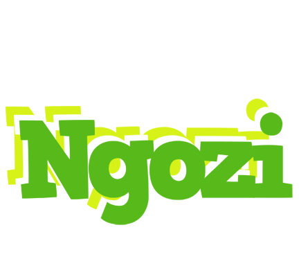 Ngozi picnic logo