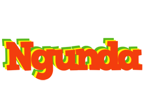 Ngunda bbq logo