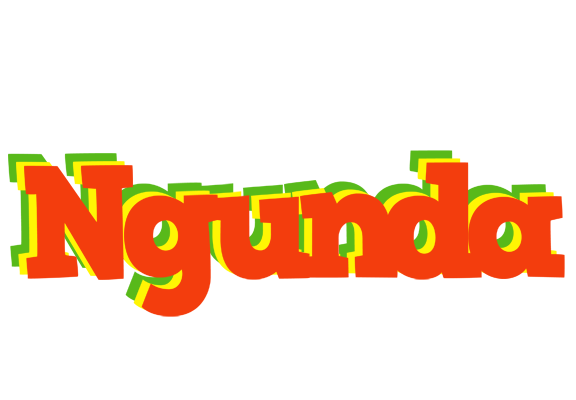 Ngunda bbq logo