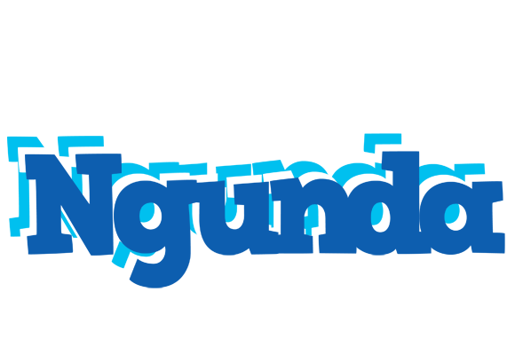 Ngunda business logo