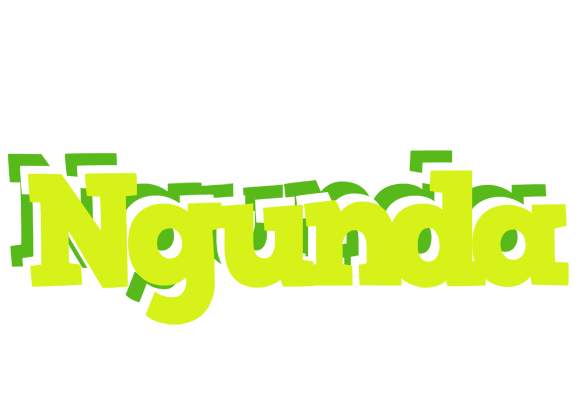 Ngunda citrus logo