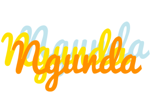 Ngunda energy logo