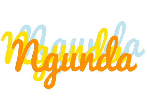 Ngunda energy logo