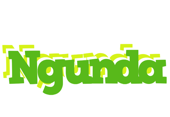 Ngunda picnic logo