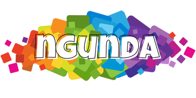 Ngunda pixels logo