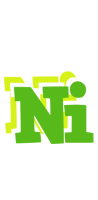 Ni picnic logo