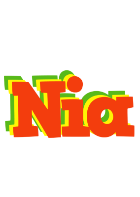 Nia bbq logo