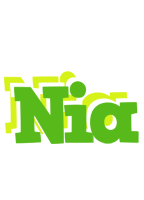 Nia picnic logo