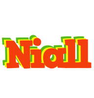 Niall bbq logo