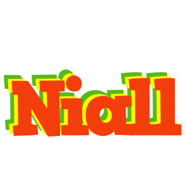 Niall bbq logo