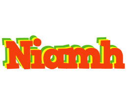 Niamh bbq logo